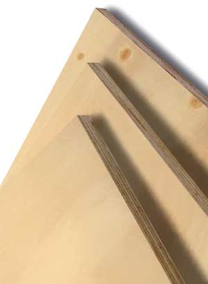 Selex Radiata Pine Plywood