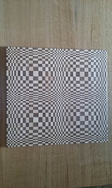 436TWOpticalIllusion1