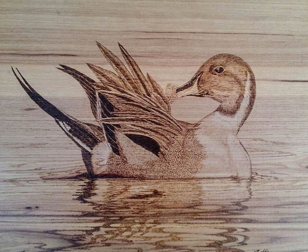 Scott Hirschi: Wildlife in Pyrography