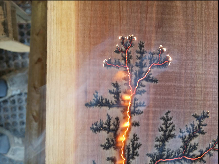 Fractal Wood Burning #chemistry #science #physics #electricity #art #f