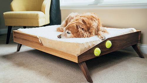 Alex Fang custom dog bed