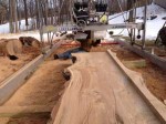 Bodin-Oak-Slab