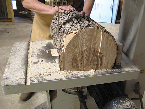 Guiding log cut with bandsaw fence