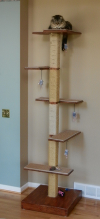 Cat-Tower-Project