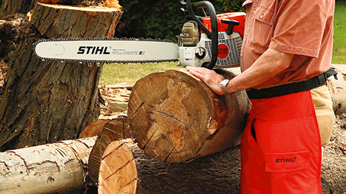 With the checks cut away from the end of the log section and your properly sized log securely raised from the ground, begin the first cut.