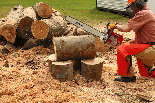 Continue your first cut across the width of the log, but leave an inch or two at the far end of the log uncut. A very sharp chain helps here!