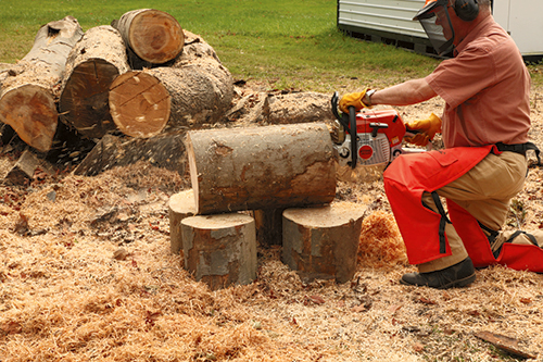 Next, completely cut away the outside waste from both sides of the log. (Note the piece on the ground on the near side in the photo.)