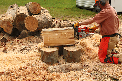 Next, completely cut away the outside waste from both sides of the log. (Note the piece on the ground on the near side in the photo.)