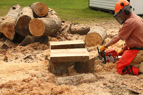 With the two outside waste pieces sliced away, complete the center cut, and you have two thick planks from which you can remove bowl blanks.