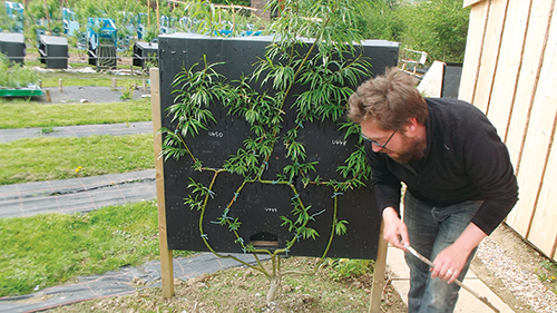 Gavin Munro checks experimental shapes of his lumber, which he grows directly into furniture shapes. Numerical codes on the testing area help him to note progress.