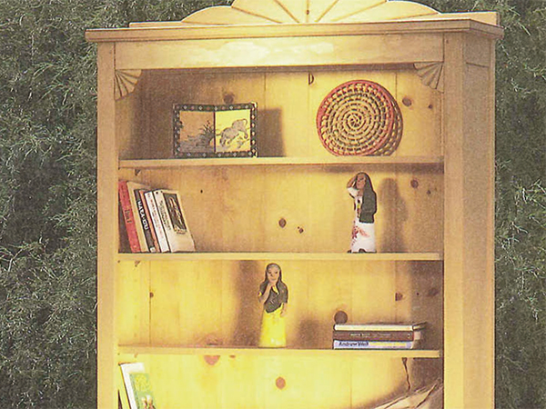 Santa Fe-style bookcase