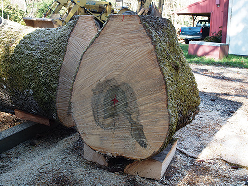 Straight-grain log set up for cutting bowl blanks