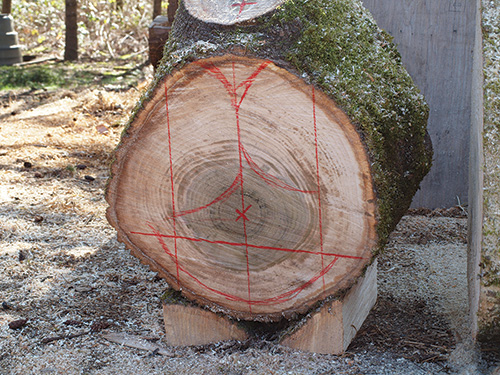 Three potential bowl blanks marked out in crotch