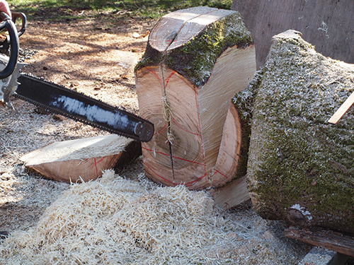 Chainsawing out bowl blanks from crotch