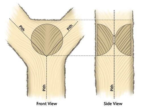 Diagram of how to cut bowls with feather pattern