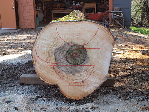 Outlining areas to cut bowl blanks from log