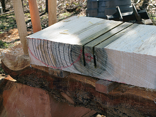 Sectioning a log for cutting bowl blanks