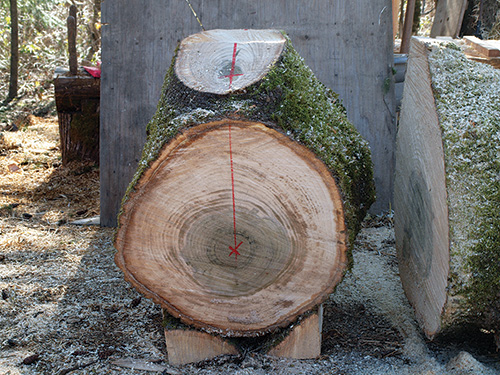 Marking a vertical cut through a log