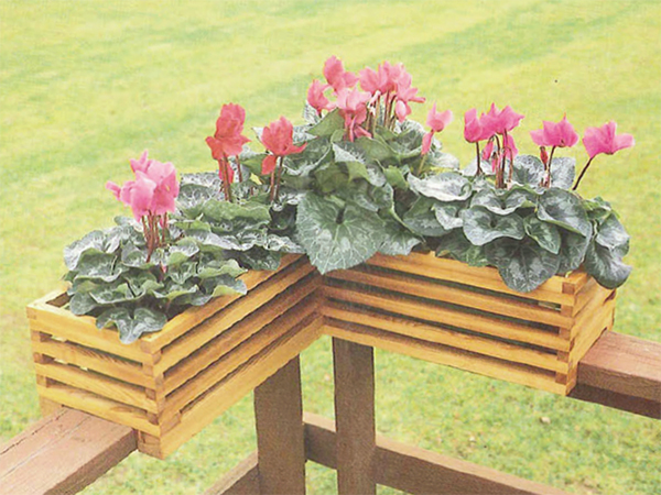Food-safe Wood Choice for Raised Planter Beds?