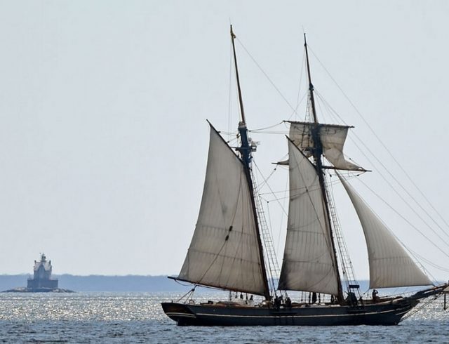 Steff Rocknak: Wood Chips and Tall Ships