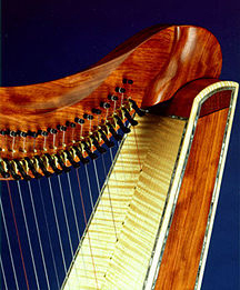 Dusty-Strings-Harp-Neck