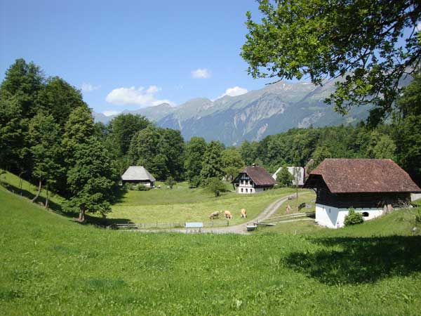 European Travel? Swiss Museums with Woodworking