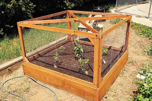 Raised garden segment made from redwood