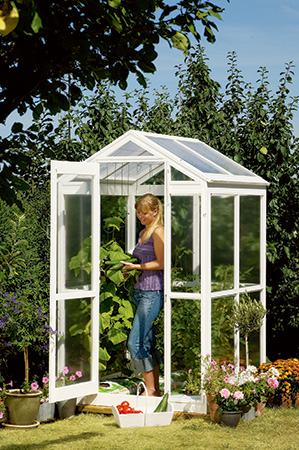 Completed and assembled fold-up greenhouse project with plants