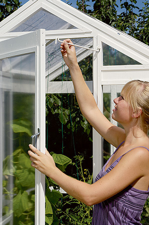 Hanging plants in a folding greenhouse