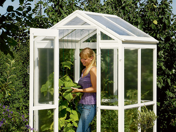 Plywood collapsable greenhouse