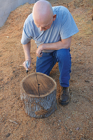 Marking a log for cutting