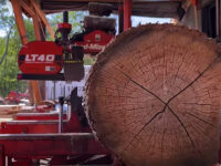 Pushing hickory log through a saw mill