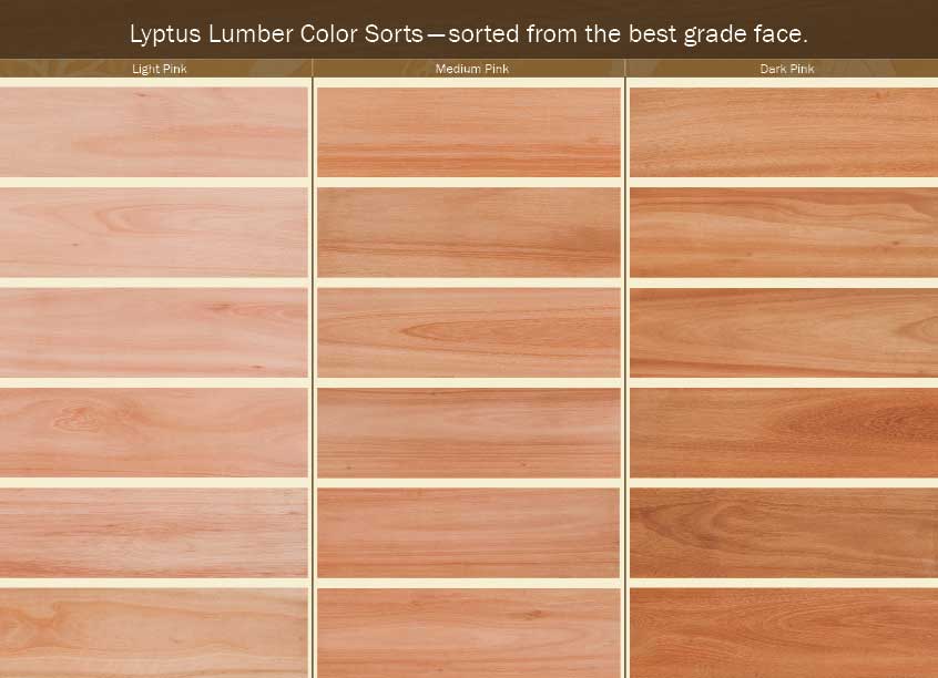 Weyerhaeuser Lyptus: Wood with a Pedigree, and a Trademark