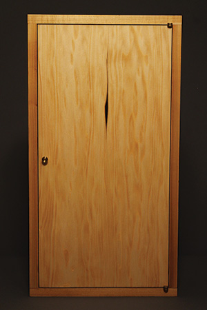 Cabinet door for shop storage cabinet