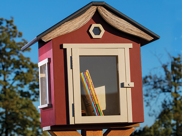 PROJECT: Little Book Lending Library