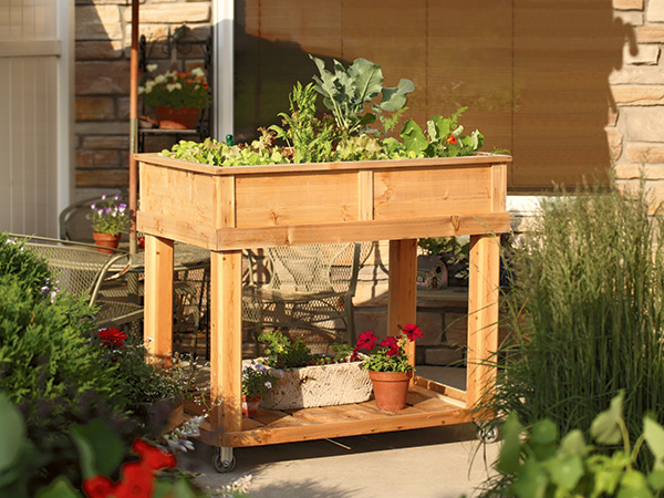 PROJECT: Patio Garden Cart