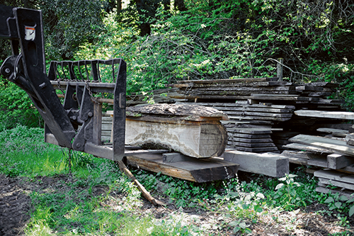 Cutting logs into boards