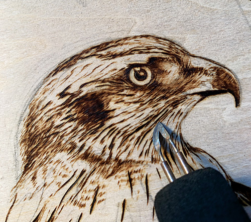 Eagle's head drawn with a pyrography pen