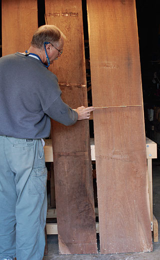 Are Walnut and Ash Trees At Risk?