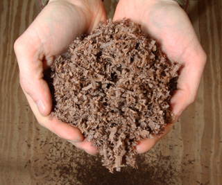 Walnut Shavings as Compost?