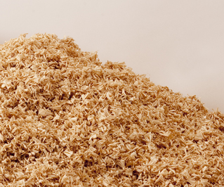 Is it Okay to Compost Wood Chips?