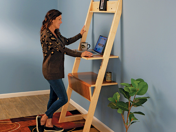 PROJECT: Sit/Stand Desk