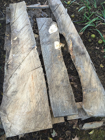 Saving Rotted Spalted Wood