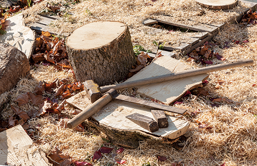 Green vs. “Wet” Wood?