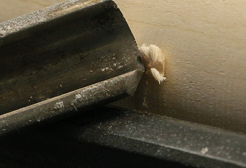 Demonstration of a shearing cut with roughing gouge