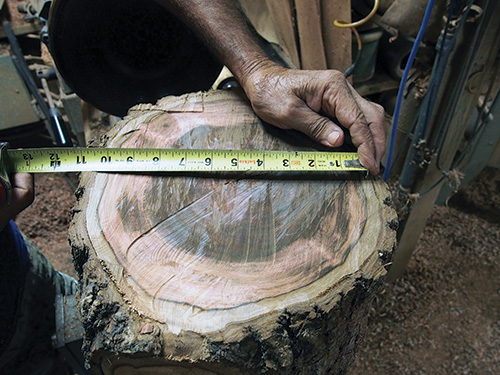 Finding the center between heartwood and sapwood for a turning blank