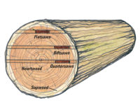 Illustration of where to find wood figure variations