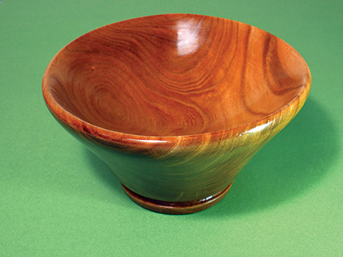 Small bowl turned from green elm wood