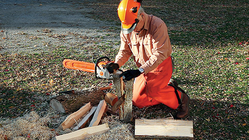 Chainsawing blanks from freshly cut log