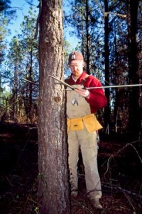 Measure Tree Survey Tool
